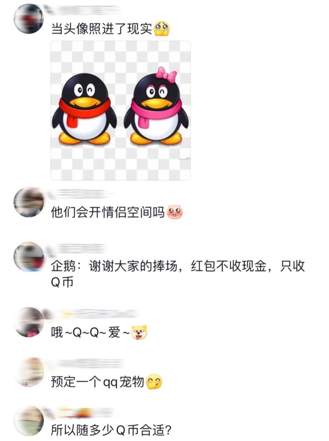 海洋馆为企鹅办“婚礼”<strong></p>
<p>q币</strong>！“证婚人”是…网友：份子钱随多少Q币合适？
