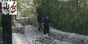 太猖狂！事发上海迪士尼<strong></p>
<p>USD汇率</strong>，7人被刑拘