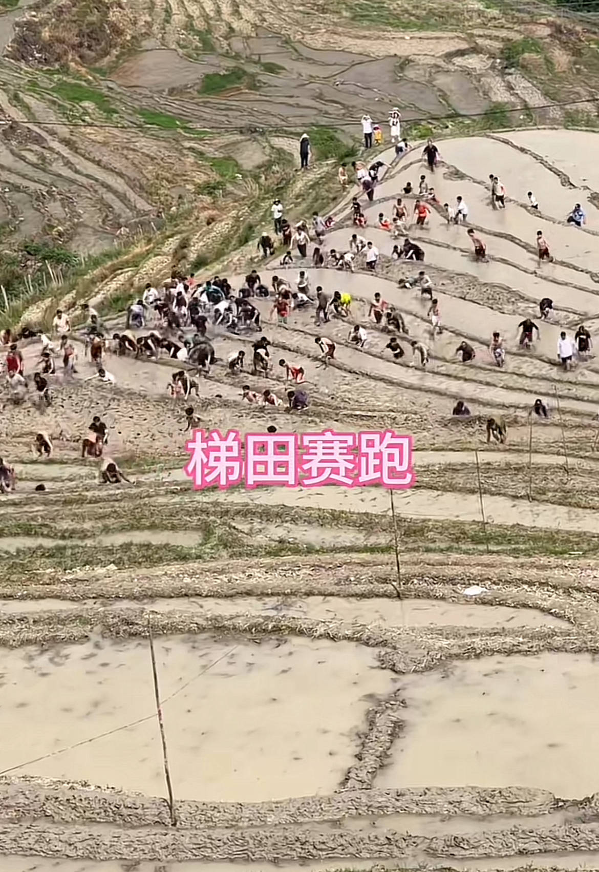 桂林一景区回应爬梯田比赛前两名半坡起跑作弊：游客赛前试爬后躺半坡<strong></p>
<p>eth</strong>，工作人员没发现