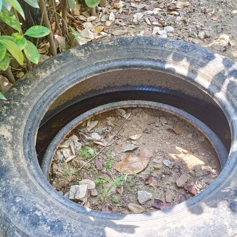 青岛疾控最新提醒：全民行动<strong></p>
<p>比特币最高</strong>！翻盆倒罐、清除积水！
