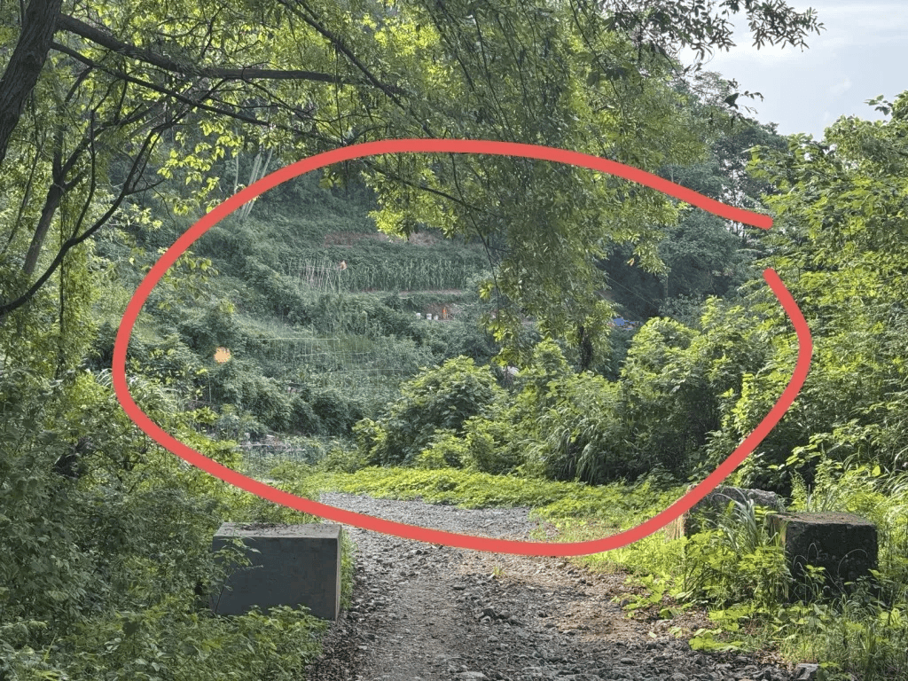 杭州女子误踩“化骨水”身亡<strong></p>
<p>比特币挖矿流程</strong>，当地：已锁定化学品所有者，发现三桶，一桶完整，两桶残余