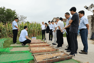 江苏发现金矿<strong></p>
<p>比特币行情最新价格美元</strong>！离扬州不远！