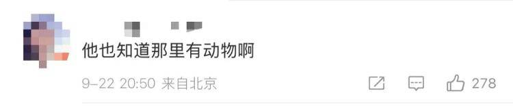 “感谢大家支持我大闹天宫……”蔡国强烟花秀现场感言视频披露<strong></p>
<p>比特币网络拥堵</strong>，又遭质疑！