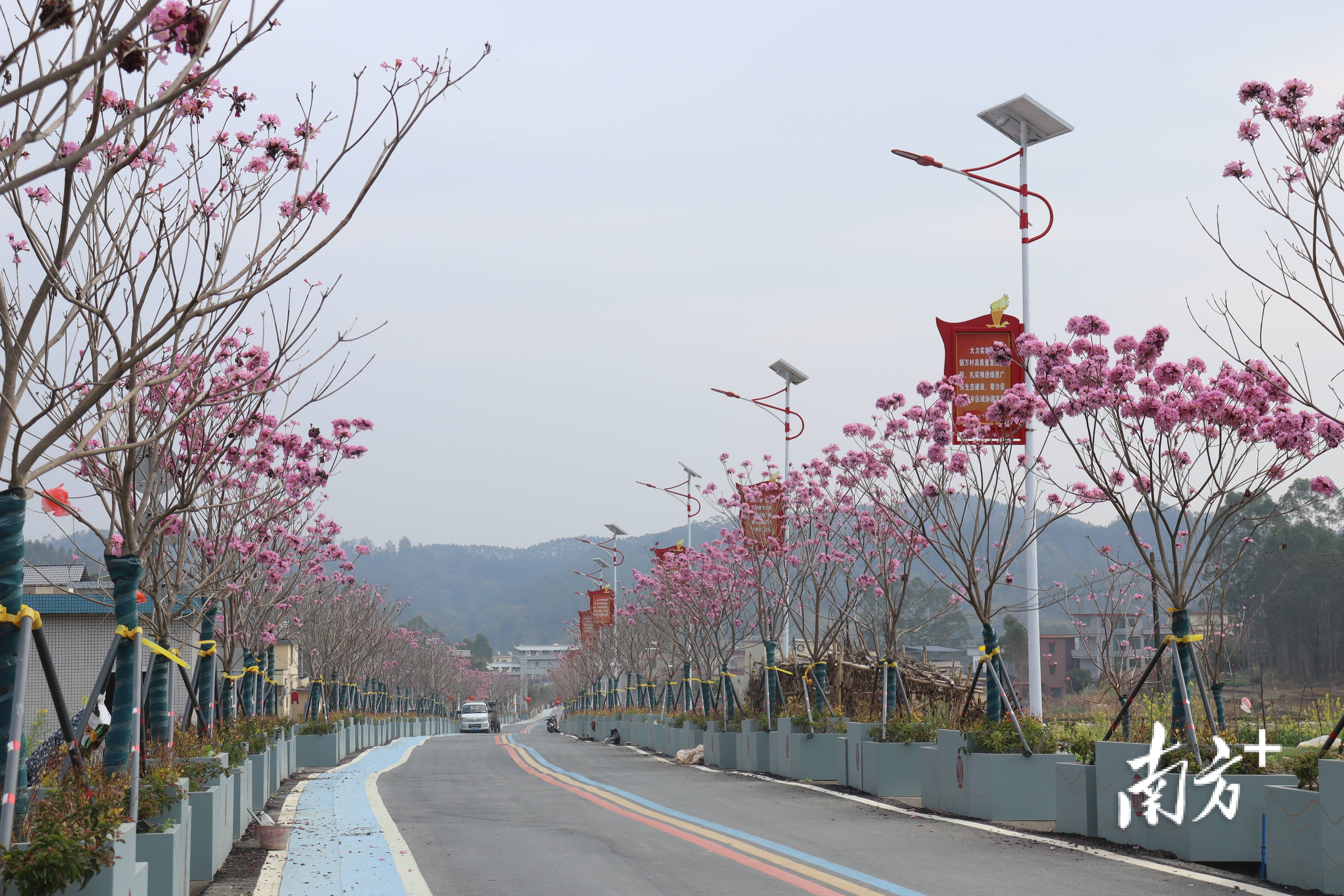 “外来媳妇”谭焕贞五年深耕<strong></p>
<p>2011年比特币价格</strong>，佛冈高岗宝山村换新貌