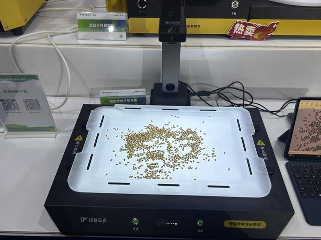 紫色向日葵、多彩胡萝卜、双色火龙果亮相青岛<strong></p>
<p>2011年比特币价格</strong>，种子盛会变身“未来食物实验室”