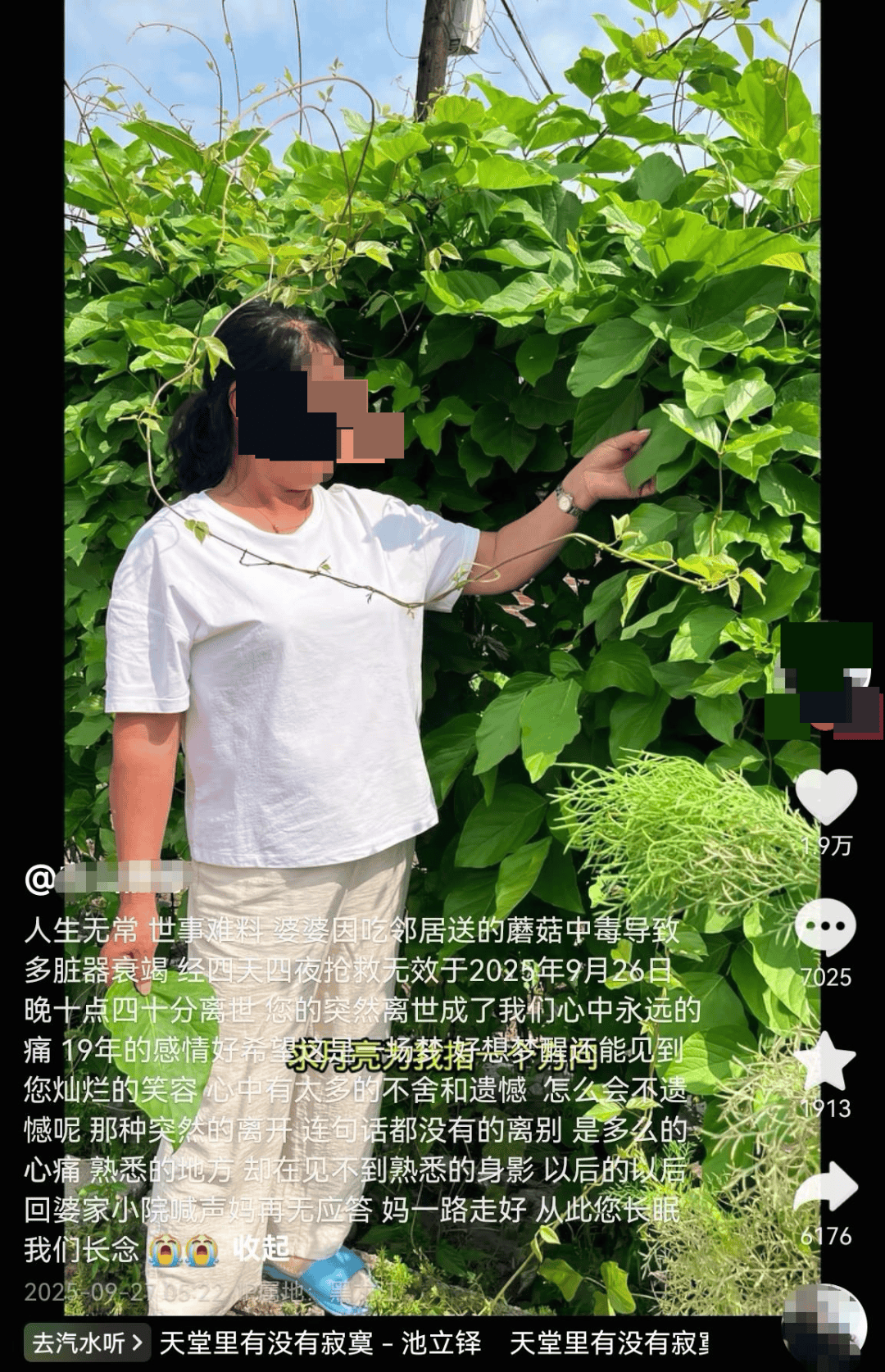 网红发文悼念婆婆：吃了邻居送的蘑菇中毒<strong></p>
<p>比特币今天价格行情</strong>，抢救四天四夜死亡！这些蘑菇避毒原则可能是陷阱→