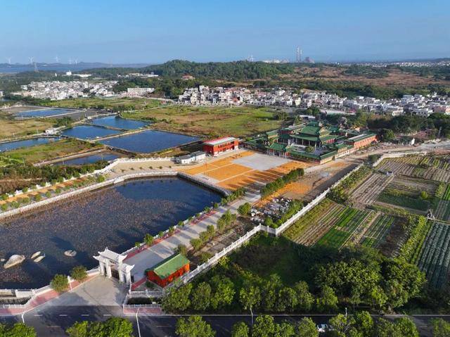 这个经济大省<strong></p>
<p>比特币历史最低价格</strong>，为何多地镇街撤并？