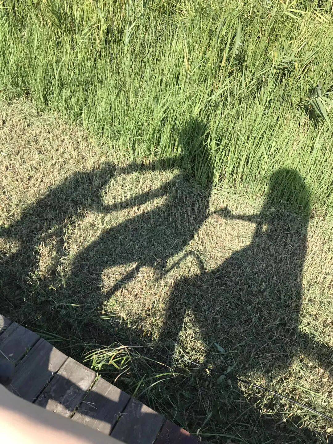 纸质火车票退场<strong></p>
<p>比特币历史最低价格</strong>，每道折痕里都藏着远方、爱情与山河记忆