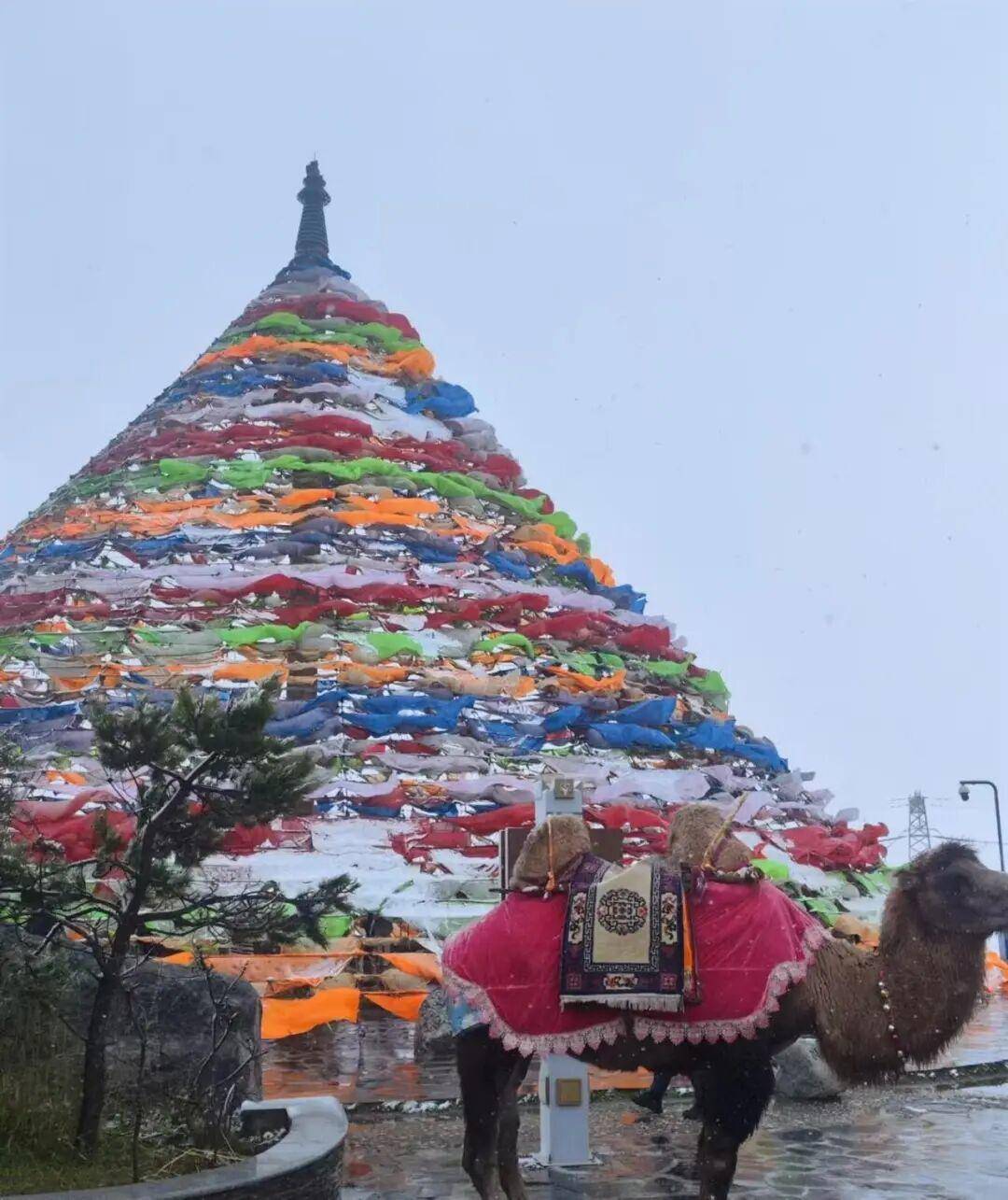 多地突降大雪<strong></p>
<p>比特币换算器</strong>！