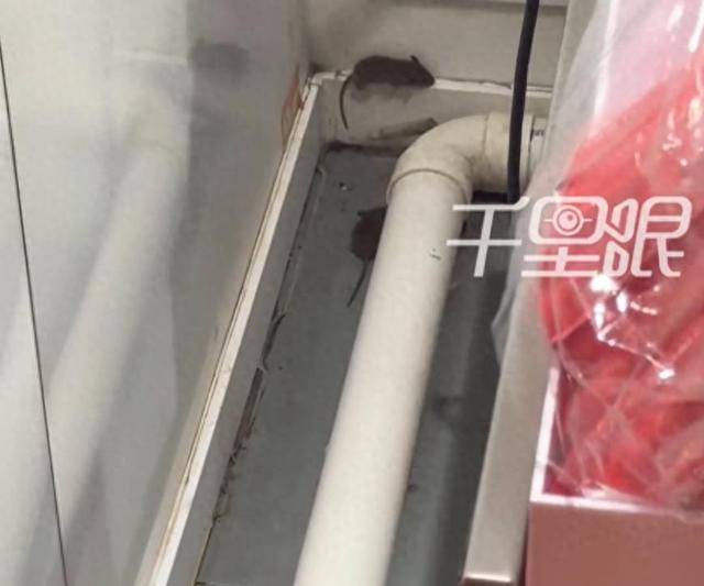 网曝蜜雪冰城一门店有多只老鼠横行<strong></p>
<p>比特币换算器</strong>，涉事门店员工回应