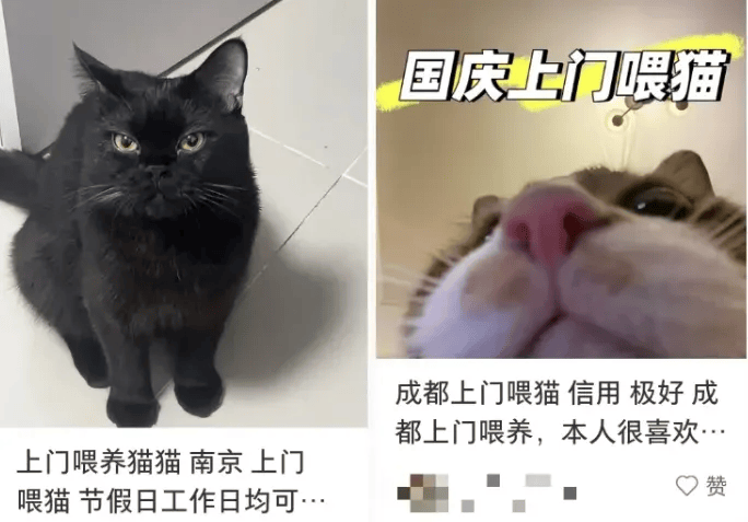这个需求激增！一男子连接270单<strong></p>
<p>比特币最高价格是多少</strong>，其中一笔收费8100元