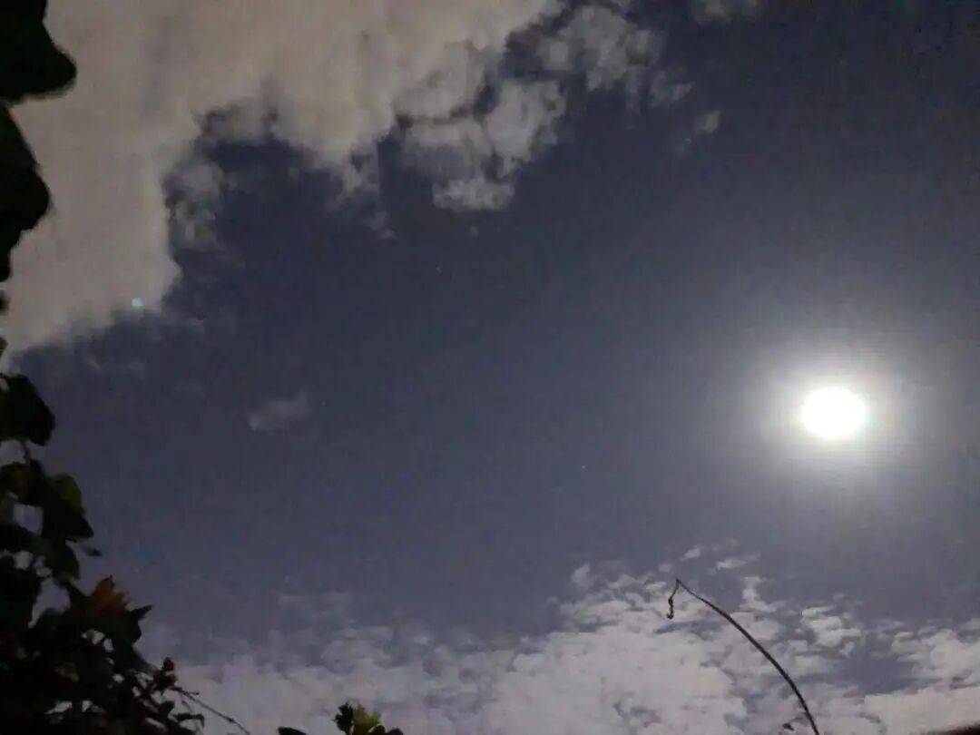 没有什么能阻挡！今天<strong></p>
<p>比特币最高价格是多少</strong>，广西人就是要回家！