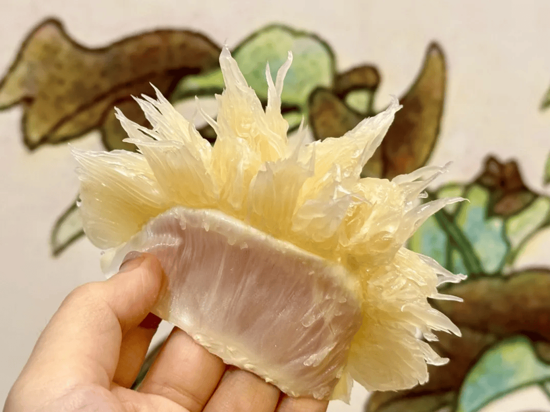 没有什么能阻挡！今天<strong></p>
<p>比特币最高价格是多少</strong>，广西人就是要回家！