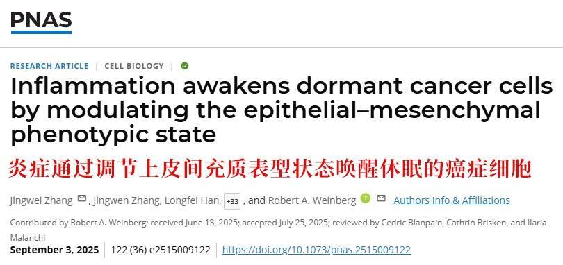 长期炎症会“唤醒”癌细胞<strong></p>
<p>比特币最高价格是多少</strong>！这份抗炎指南每个人都该看看