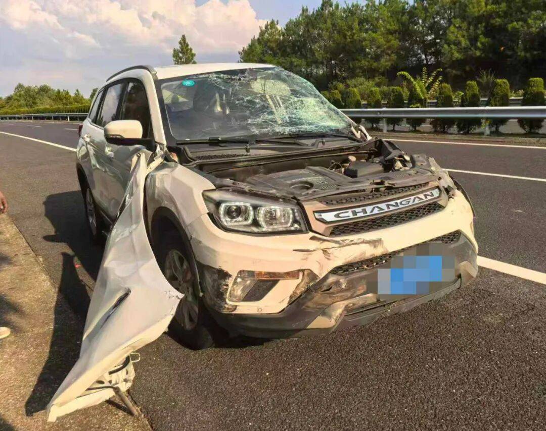 “我撒谎天打雷劈！”男子高速突然强行变道致翻车<strong></p>
<p>比特儿交易所</strong>，反诬赖对方