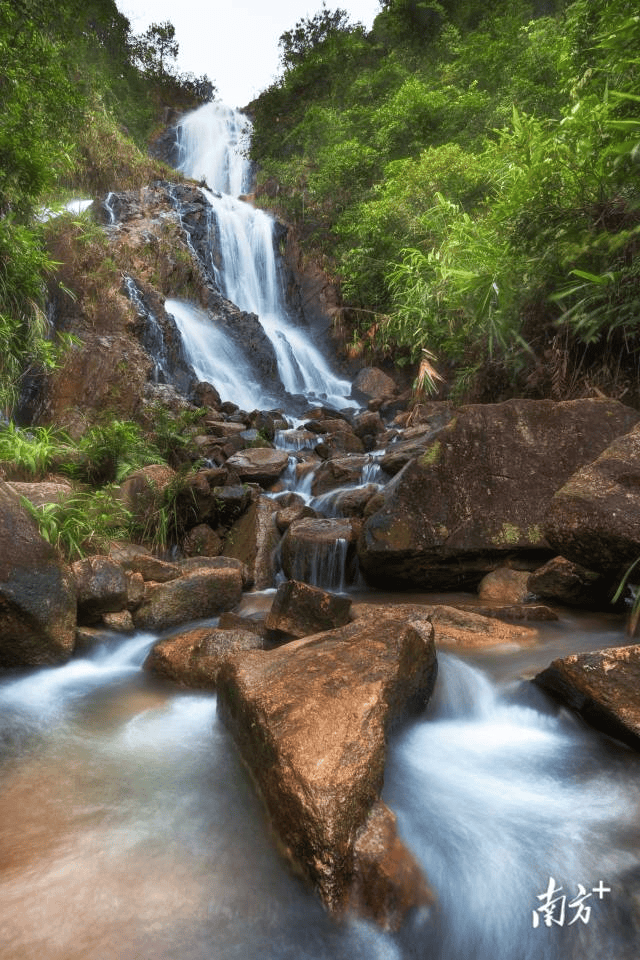 镇街周报｜佛山“双节”文旅成绩单出炉<strong></p>
<p>比特币儿</strong>，谁最吸睛