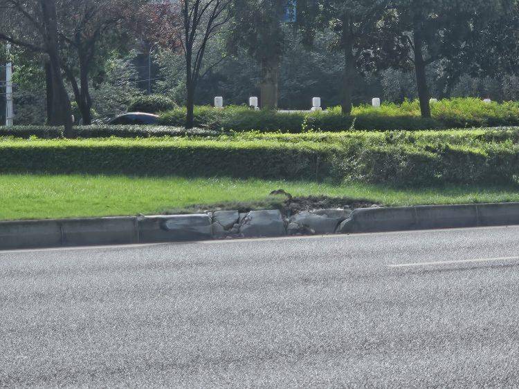 成都发生一起严重交通事故<strong></p>
<p>比特币儿</strong>，上游新闻实地探访：燃烧留下的印记仍在