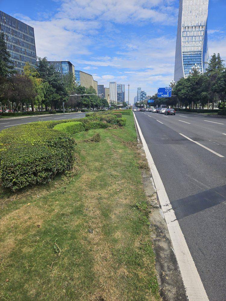 成都发生一起严重交通事故<strong></p>
<p>比特币儿</strong>，上游新闻实地探访：燃烧留下的印记仍在