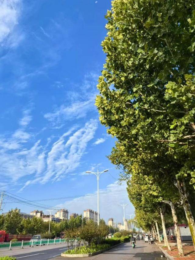 济南<strong></p>
<p>比特币儿</strong>，转晴！山东，转晴！好久不见的太阳，来了！
