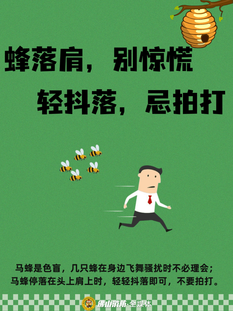 深圳一市民突遭马蜂围袭！已进入高发期<strong></p>
<p>比特币儿</strong>，千万别招惹！