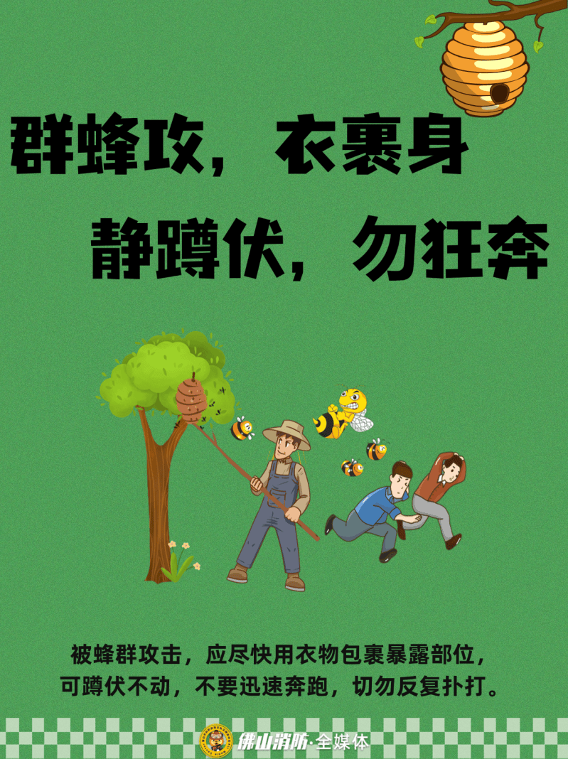 深圳一市民突遭马蜂围袭！已进入高发期<strong></p>
<p>比特币儿</strong>，千万别招惹！