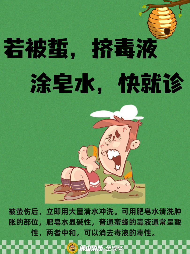 深圳一市民突遭马蜂围袭！已进入高发期<strong></p>
<p>比特币儿</strong>，千万别招惹！