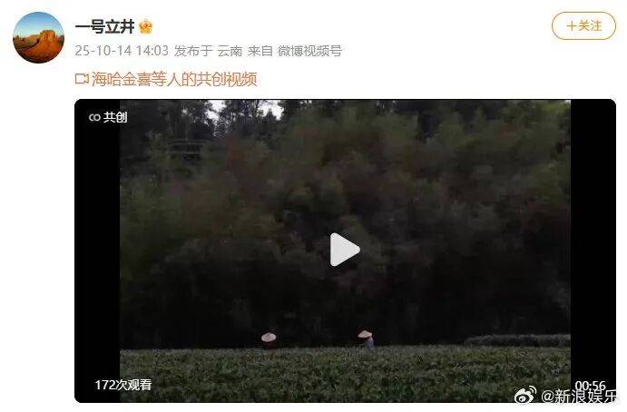 李亚鹏官宣与海哈金喜离婚：已经办理了离婚手续<strong></p>
<p>比特儿下载</strong>，孩子跟随母亲生活，由双方抚养
