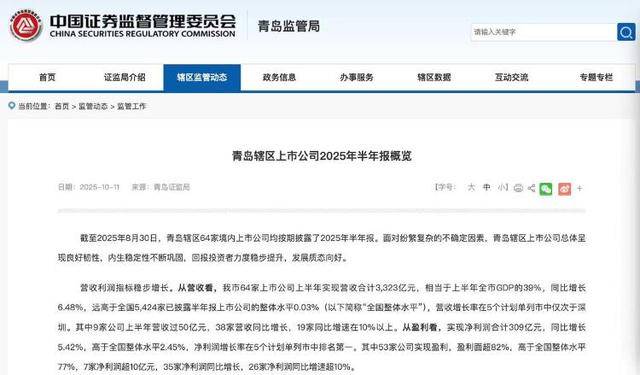 3323亿营收、1065亿海外收入<strong></p>
<p>比特儿下载</strong>！青岛上市公司的进击之路