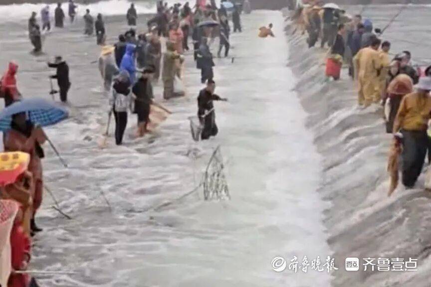 “鱼多得数不过来<strong></p>
<p>比特儿下载</strong>，一网子下去能捞好几条”济南锦绣川水库开闸放水，大量鲢鱼被冲出，工作人员：禁止捕捞！