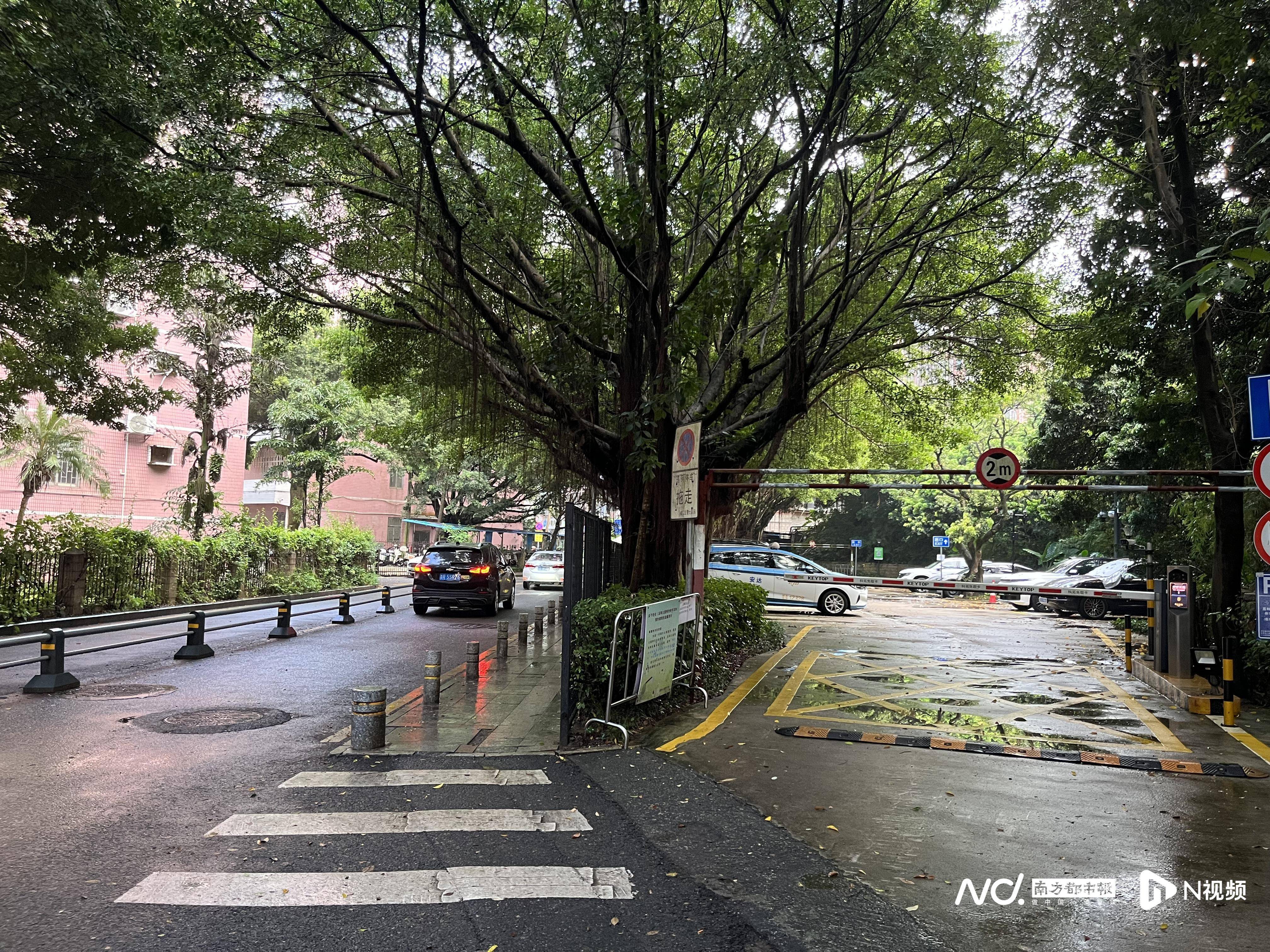 深圳一小区电动车管理引担忧<strong></p>
<p>比特儿下载</strong>，部门责令整改后，记者实探