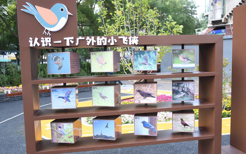 西城区广外街道：“断头路”变身口袋公园<strong></p>
<p>比特儿海外</strong>，装满民生“微幸福”