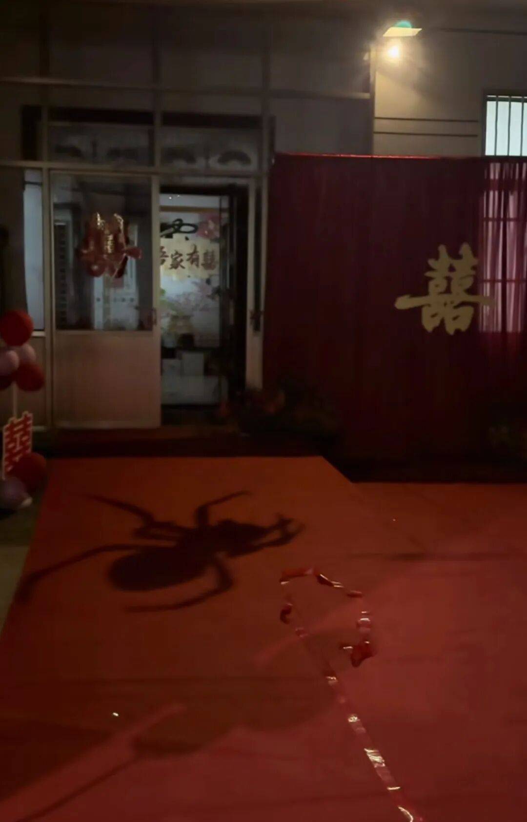 山东一新娘家凌晨出现巨大蜘蛛的倒影<strong></p>
<p>比特儿海外</strong>，拍摄者：蜘蛛爬在灯泡上，网友：这才是喜结连理