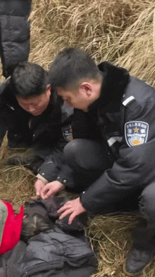 辽宁4岁女童称睡醒后自行下车<strong></p>
<p>比特儿交易平台</strong>，迷路后睡在草地，期间无人接触；其母发声