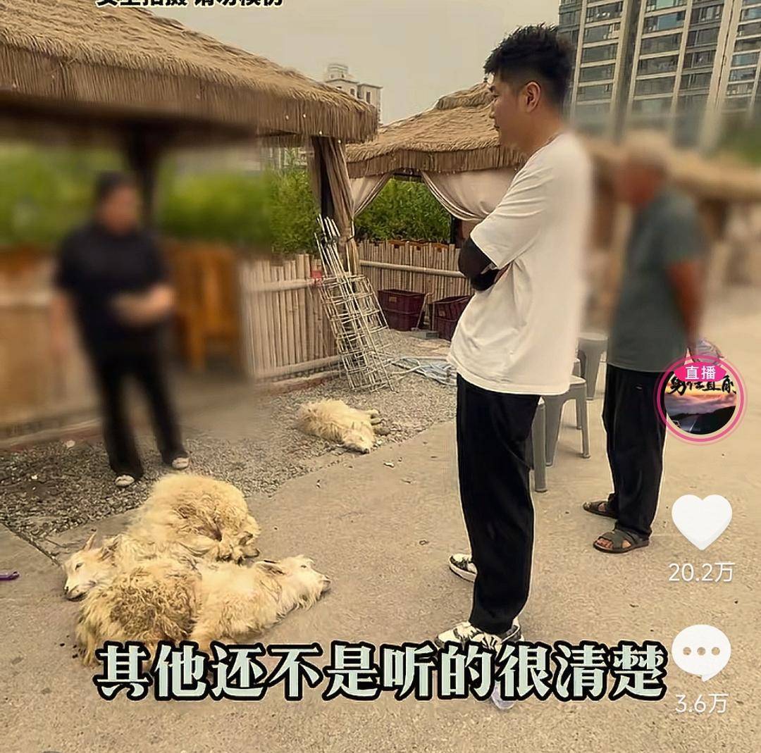 60斤活羊实际只有30多斤<strong></p>
<p>比特儿交易平台</strong>！博主打假重庆两家烤全羊店获“退一赔三”