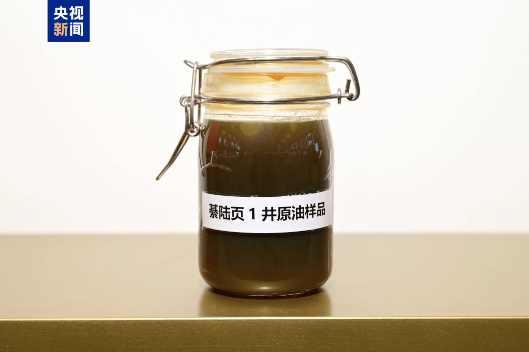 我国发现亿吨级页岩油资源<strong></p>
<p>下载比特儿</strong>!