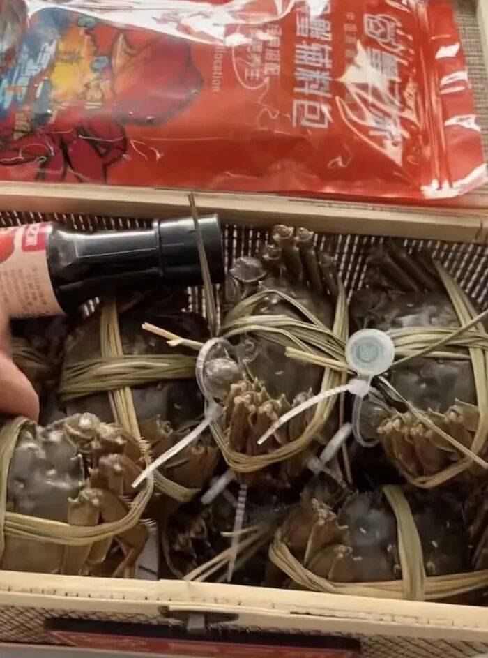 官方回应阳澄湖大闸蟹乱象：对问题企业依法调查跟进<strong></p>
<p>下载比特儿</strong>，加强大闸蟹品牌保护 | 大闸蟹市场调査·追踪报道②