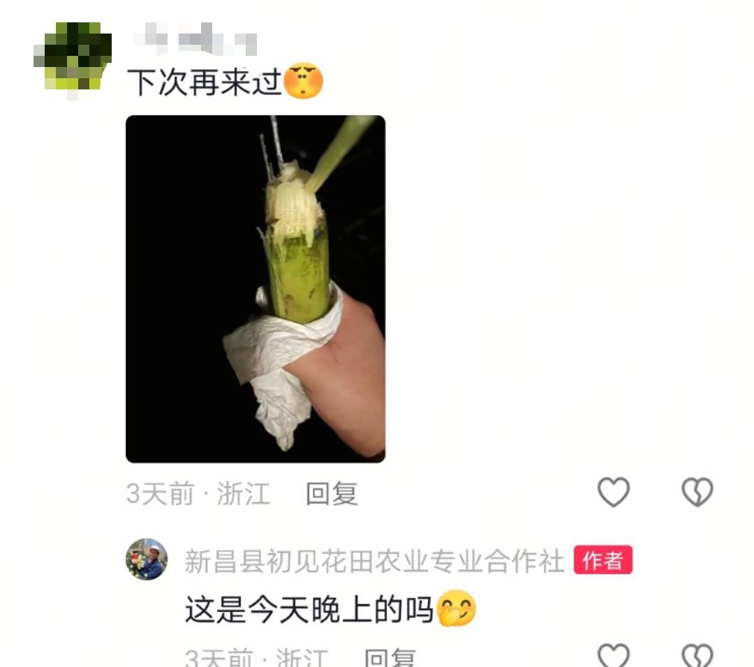 浙江一“可偷甘蔗地”成打卡点<strong></p>
<p>下载比特儿</strong>,上百网友深夜体验,80后“地主”:已收偷款6千元