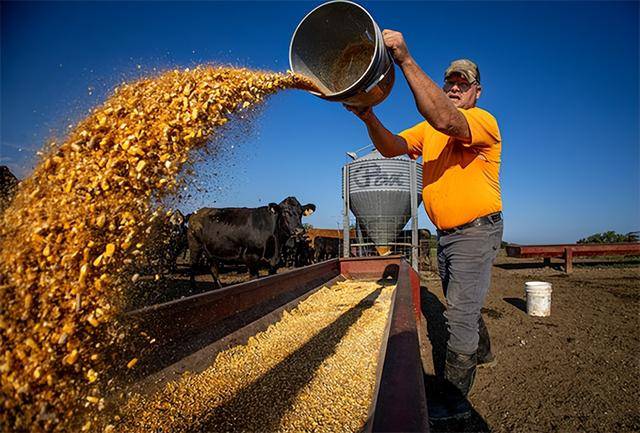 又输给了李成钢<strong></p>
<p>比特儿网站</strong>，贝森特承诺：美方不再考虑对华加征100%关税