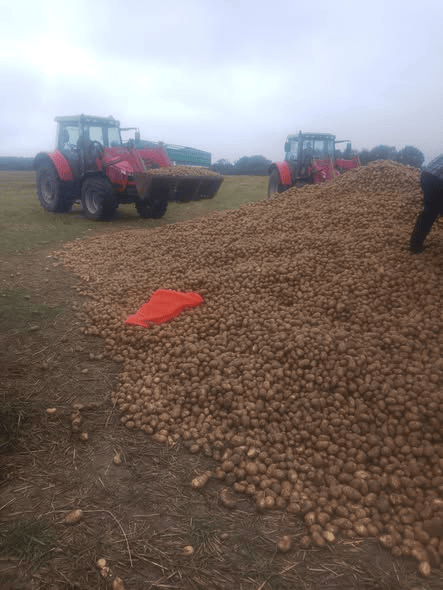 波兰68岁农民收获的150吨土豆被一夜搬空<strong></p>
<p>比特儿网站</strong>, 只因帖子遭篡改