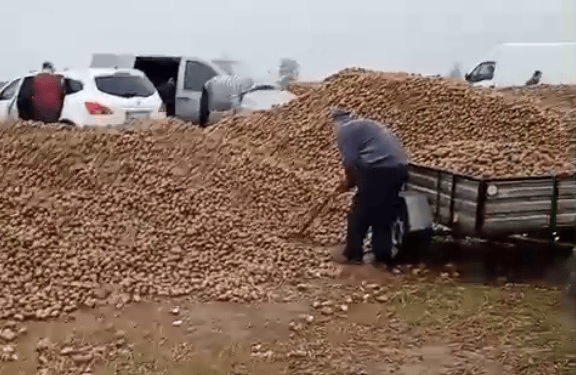 波兰68岁农民收获的150吨土豆被一夜搬空<strong></p>
<p>比特儿网站</strong>, 只因帖子遭篡改