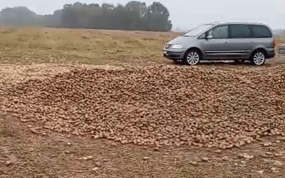 波兰68岁农民收获的150吨土豆被一夜搬空<strong></p>
<p>比特儿网站</strong>, 只因帖子遭篡改