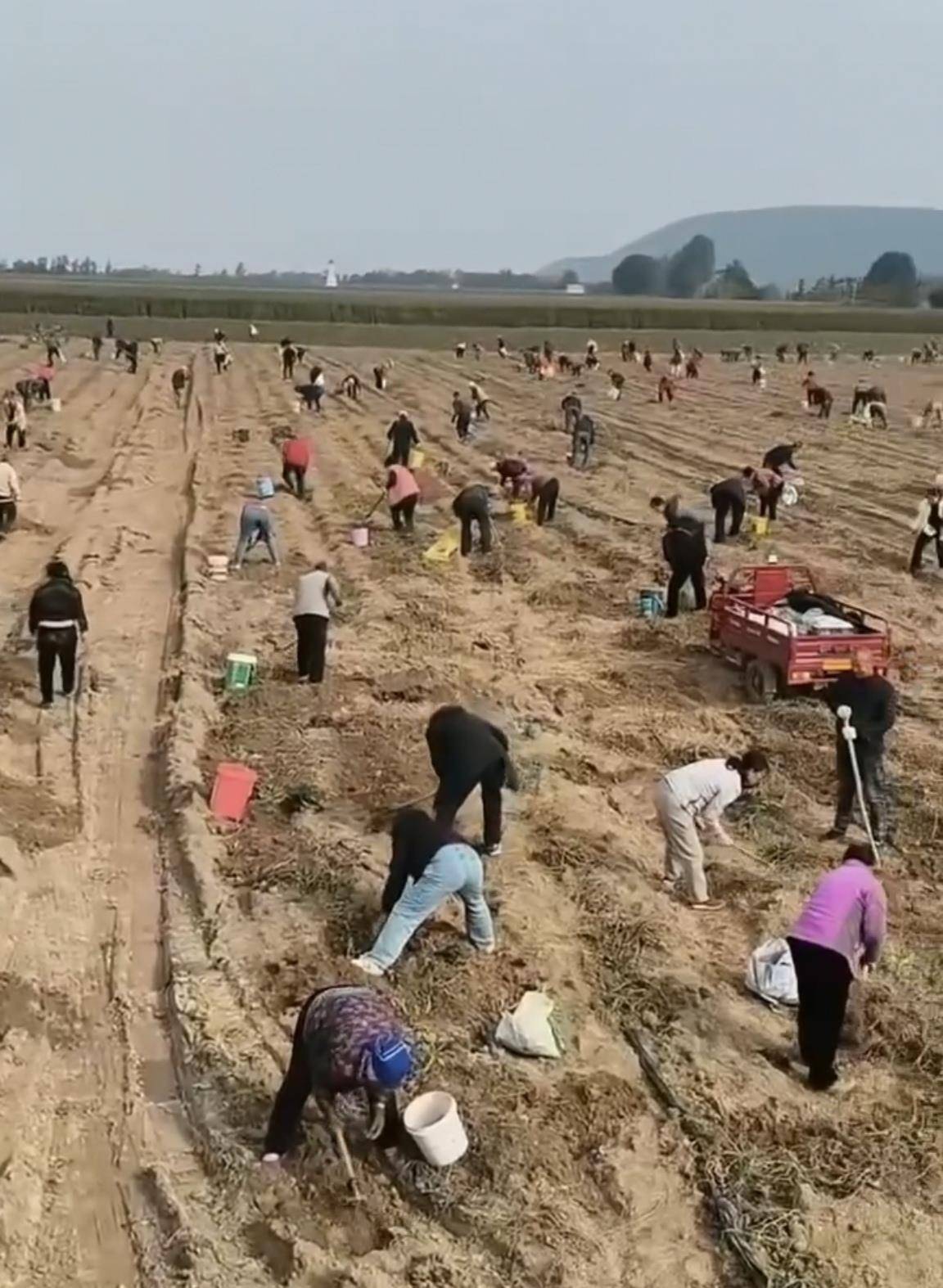 数百人冲进地里捡红薯<strong></p>
<p>比特儿交易平台官网</strong>,田主称是秋收剩下的,网友:免费翻地,利人利己