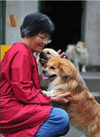 合肥卖房救助流浪狗的魏阿姨离世<strong></p>
<p>比特儿电话</strong>，病中仍然惦记着基地的600只流浪狗，工人：不敢相信世上还有这样执着的人