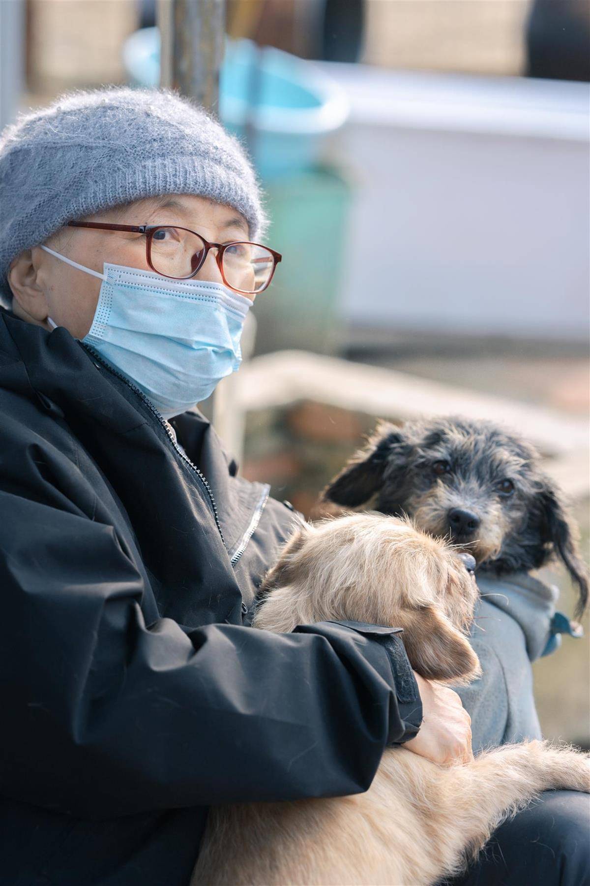 合肥卖房救助流浪狗的魏阿姨离世<strong></p>
<p>比特儿电话</strong>，病中仍然惦记着基地的600只流浪狗，工人：不敢相信世上还有这样执着的人