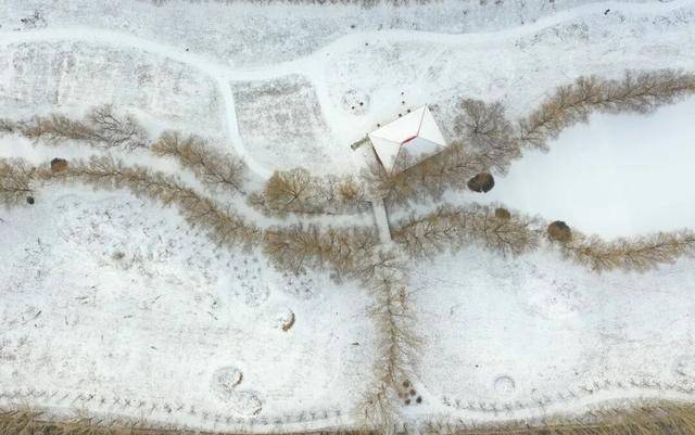 百年难遇“早立冬”来了<strong></p>
<p>比特儿暂停</strong>！有啥讲究？早看早准备！