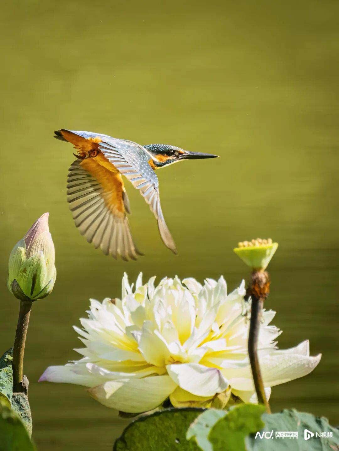 东莞最新发布：将严厉打击这些行为<strong></p>
<p>比特儿暂停</strong>！