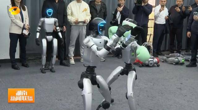 湖南省省长、浙江省省长<strong></p>
<p>比特儿新版</strong>，一同观看机器人表演