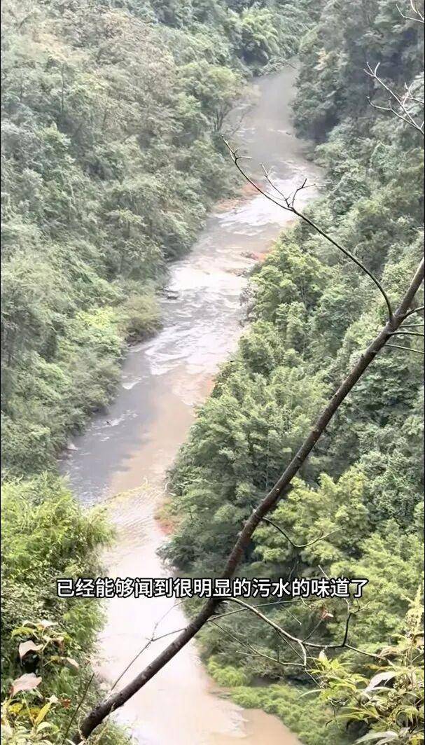 重庆通报：坚决查处<strong></p>
<p>现货</strong>，绝不姑息