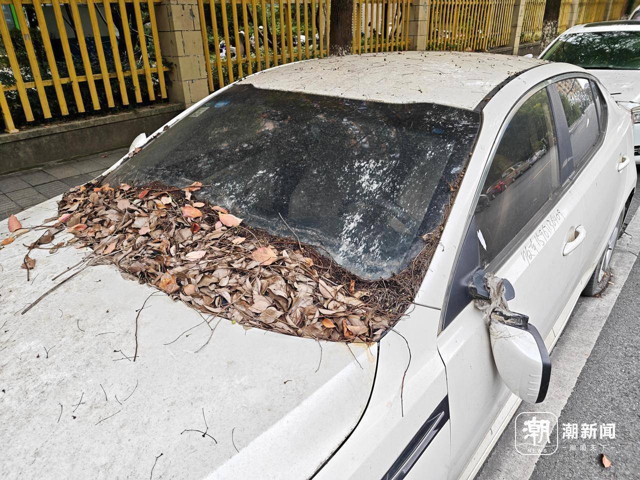 近三成疑似“僵尸车”<strong></p>
<p>桔子虚拟币</strong>，杭州这里的路边免费车位缘何成“停车场”