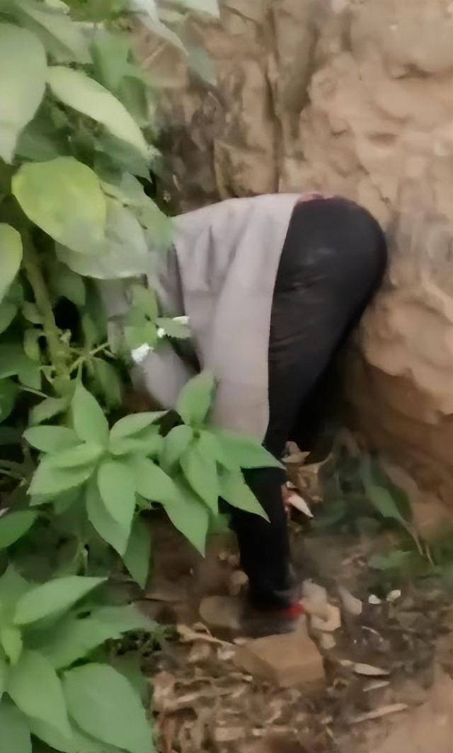 陕西一女子疑因拍亲姑姑偷玉米遭姑父棍杀<strong></p>
<p>畅u虚拟币</strong>，邻居欲报警也遇害